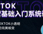 Tiktok实操进阶课程,体验从tiktok小透明到大佬的完美蜕变-葛仙仙资源库