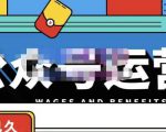 零零已久·从0-1运营公众号,零基础小白也能上手,系统性了解公众号运营-葛仙仙资源库