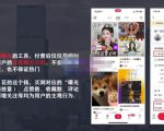 麦子互娱短视频带货·0基础做好物分享账号，无需出镜无需货源无需拍摄-葛仙仙资源库