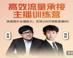高效流量承接主播训练营:快速提升主播能力,实现100万销售直播间-葛仙仙资源库