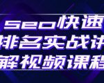 seo快速排名实战讲解视频课程，揭秘seo快排原理-葛仙仙资源库