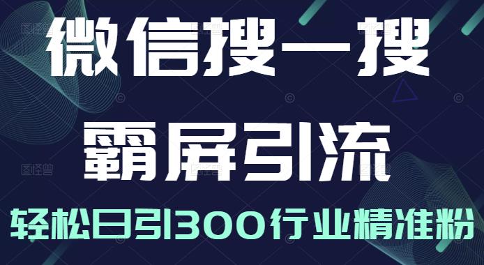 微信搜一搜霸屏引流课，打造被动精准引流系统，轻松日引300行业精准粉-葛仙仙资源库
