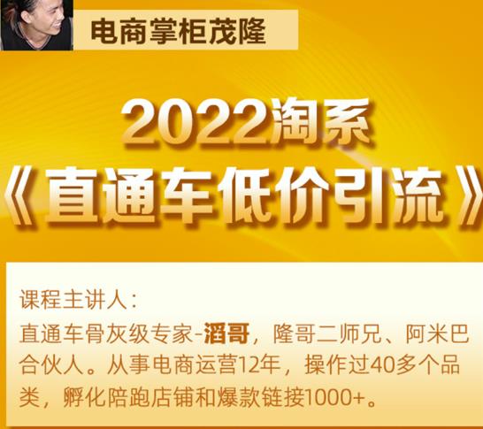 茂隆2022直通车低价引流玩法，教大家如何低投入高回报的直通车玩法-葛仙仙资源库