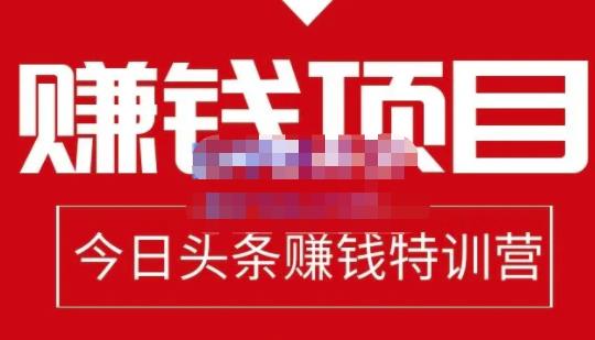 懒人领域·今日头条项目玩法，头条中视频项目，单号收益在50—500可批量-葛仙仙资源库