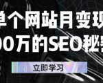 单个网站月变现100万的SEO秘密,百分百做出赚钱站点-葛仙仙资源库