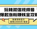 玩转微信视频号爆款涨粉赚钱全攻略，快速涨粉百万变现万元秘诀-葛仙仙资源库