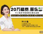 叶小鱼21天短视频文案拆书营，学完轻松搞定各类书单短视频文案-葛仙仙资源库