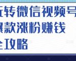 玩转微信视频号爆款涨粉赚钱全攻略,让你快速抓住流量风口,收获红利财富-葛仙仙资源库