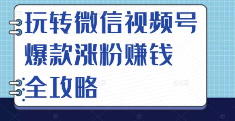 玩转微信视频号爆款涨粉赚钱全攻略，让你快速抓住流量风口，收获红利财富-葛仙仙资源库