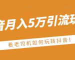 老古董·抖音月入5万引流玩法,看看老司机如何玩转抖音(附赠:抖音另类引流思路)-葛仙仙资源库