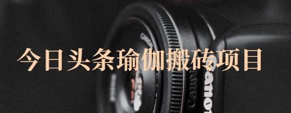 猎人社区·今日头条瑜伽搬砖项目，单号一天几十收入，可以批量操作！-葛仙仙资源库