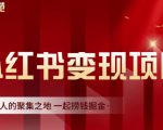 渣圈学苑·小红书虚拟资源变现项目,一起捞钱掘金价值1099元-葛仙仙资源库