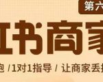 贾真-小红书商家营第6期商家版,21天带货陪跑课,让商家丢掉付流量-葛仙仙资源库