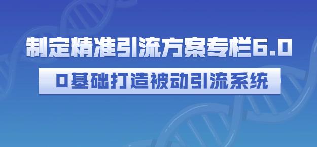 制定精准引流方案专栏6.0，0基础打造被动引流系统-葛仙仙资源库