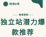 【跨境B哥】独立站潜力爆款选品推荐，测款出单率高达百分之80-葛仙仙资源库