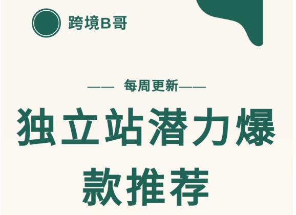 【跨境B哥】独立站潜力爆款选品推荐，测款出单率高达百分之80-葛仙仙资源库