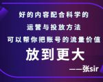 张sir账号流量增长课,告别海王流量,让你的流量更精准-葛仙仙资源库
