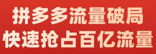 阿杰·拼多多流量破局:如何打黑标，爆款的思路，拼多多流量框架，快速抢占百亿流量-葛仙仙资源库