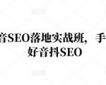 王通·抖音SEO落地实战班,手手带你做好音抖SEO-葛仙仙资源库