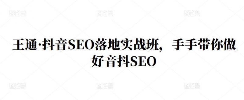 王通·抖音SEO落地实战班，手‬手带你做好音抖‬‬SEO-葛仙仙资源库