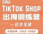 疯人院:TikTok Shop出海训练营(一店卖全球),出海抢占全球新流量-葛仙仙资源库