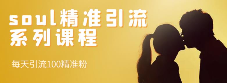 soul精准引流系列课程，每天引流100精准粉-葛仙仙资源库