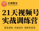 张萌21天视频号实战训练营,裂变涨粉、内容创作、视频号变现 价值298元-葛仙仙资源库