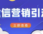 微信营销策划引流系列课程,每天引流100精准粉-葛仙仙资源库