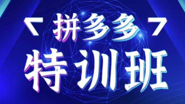 星雪教育·拼多多基础班+进阶班+突破班，用系统的学习模式快速改变现状价值3580元-葛仙仙资源库