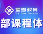 星雪教育淘系高级班,更全的运营提升方案,零基础由浅入深,店铺最新玩法-葛仙仙资源库