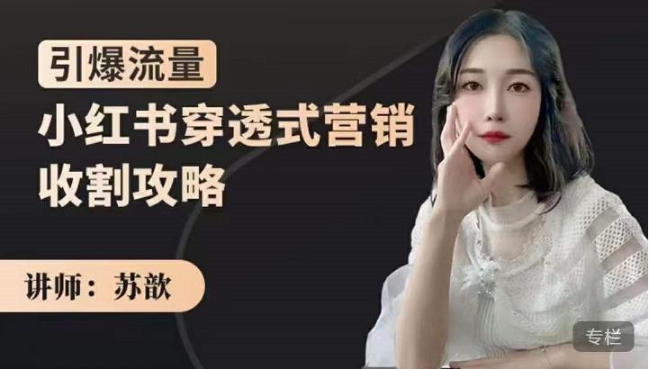 苏歆：小红书穿透式营销收割攻略，引爆流量，助你玩转小红书-葛仙仙资源库