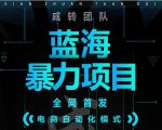 引流哥蓝海暴力躺赚项目:无需发圈无需引流无需售后,每单赚50-500(教程+线报群)-葛仙仙资源库