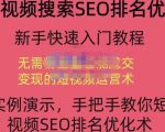 宋老师·短视频搜索SEO优化，教你10分钟创作一个短视频，三天排名上第一-葛仙仙资源库