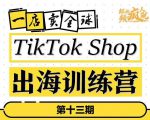TikTokShop出海训练营(第十三期),打开全球流量新思维,出海抢占全球新流量,一店卖全球-葛仙仙资源库