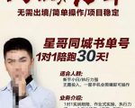 星哥同城教育书单号课程,无需出境简单操作项目稳定-葛仙仙资源库