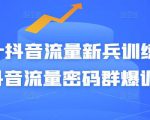 Peter抖音流量新兵训练营-破解抖音流量密码群爆训练营(新兵)-葛仙仙资源库