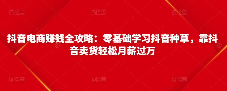 抖音电商赚钱全攻略：零基础学习抖音种草，靠抖音卖货轻松月薪过万-葛仙仙资源库