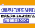 凌童《新品打爆实战班》,一套完整的实操实战落地方法,打爆链接超2000+(28节课)-葛仙仙资源库