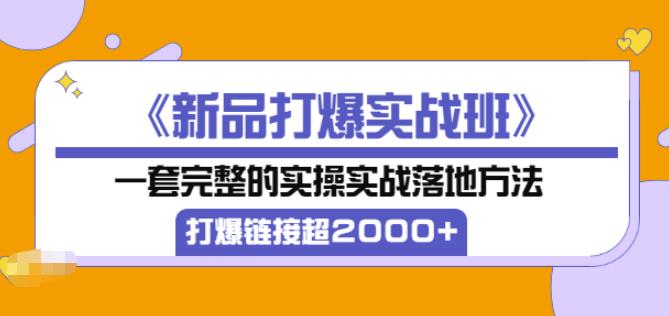凌童《新品打爆实战班》,一套完整的实操实战落地方法，打爆链接超2000+（28节课)-葛仙仙资源库