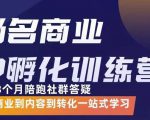 杨名商业IP孵化训练营,从商业到内容到转化一站式学 价值5980元-葛仙仙资源库