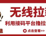 最新接码无限拉新项目,利用接码平台赚拉新平台差价,轻松日赚500+-葛仙仙资源库