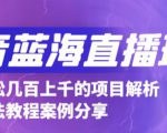抖音最新蓝海直播玩法，3分钟赚30元，一天轻松1000+，只要你去直播就行【详细玩法教程】-葛仙仙资源库