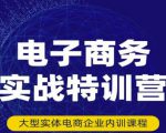 民赛电气内部出品：电子商务实战特训营，全方位带你入门电商，308种方式玩转电商-葛仙仙资源库