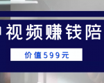 中视频赚钱陪跑,卖中视频账户赚钱收益陪跑项目(价值599元)-葛仙仙资源库