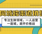 同城跨渠道销售,专注生鲜领域,一人运营一座城,避开价格战-葛仙仙资源库
