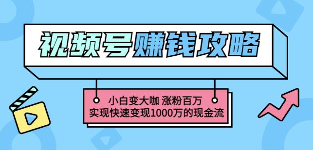 玩转微信视频号赚钱：小白变大咖涨粉百万实现快速变现1000万的现金流-葛仙仙资源库