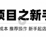 虚拟项目快速起店模式,0成本打造月入几万虚拟店铺!-葛仙仙资源库