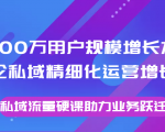 8000万用户规模增长方法论私域精细化运营增长,私域流量硬课助力业务跃迁-葛仙仙资源库