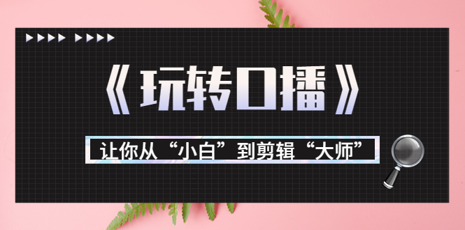 月营业额700万+大佬教您《玩转口播》让你从“小白”到剪辑“大师”-葛仙仙资源库