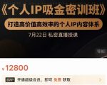 个人IP吸金密训班,打造高价值高效率的个人IP内容体系(价值12800元)-葛仙仙资源库